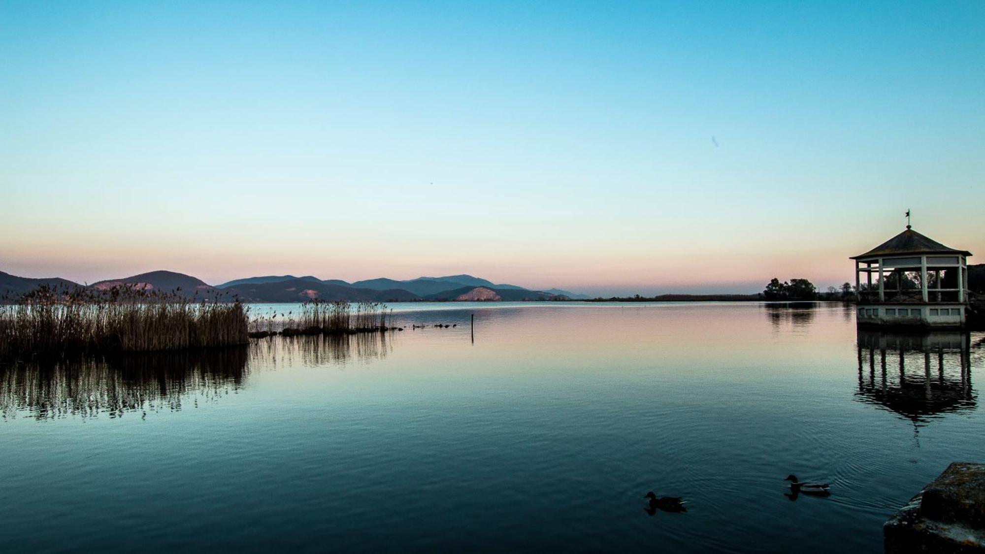 Hotel Butterfly - We Suite Torre del Lago Puccini Exterior foto